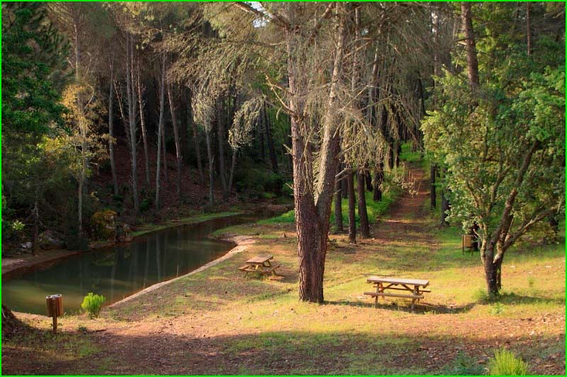 ruta por Parque Regional del Curso Medio del Río Guadarrama