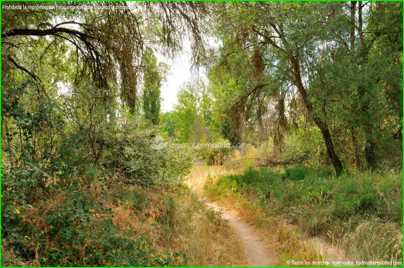 Parque Regional del Curso Medio del Río Guadarrama en Madrid