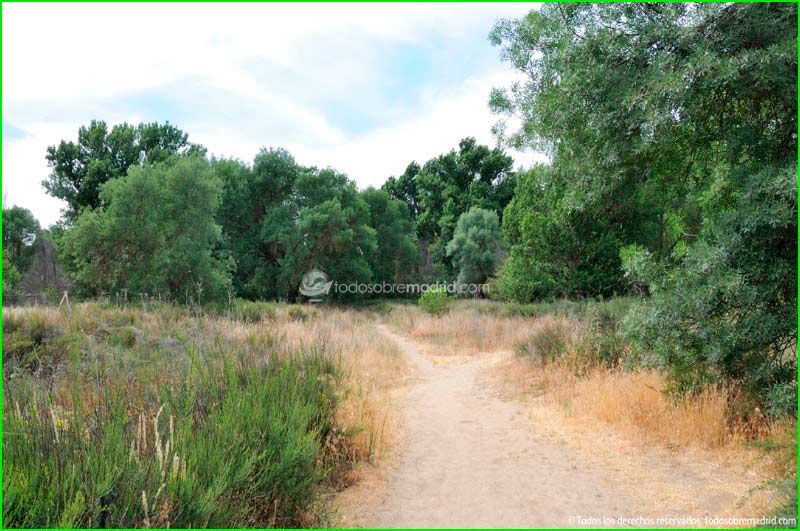 ruta por Parque Regional del Curso Medio del Río Guadarrama