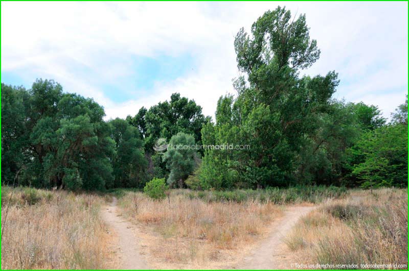 Parque Regional del Río Guadarrama en Madrid