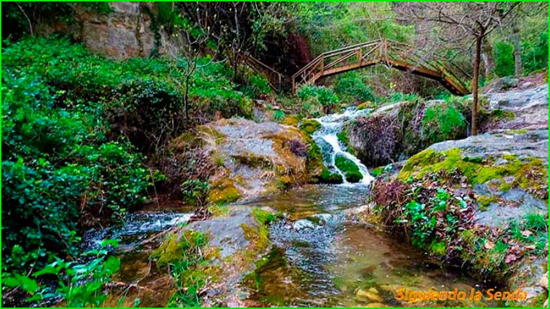 ruta por Parque Natural Sierras de Cazorla, Segura y Las Villas