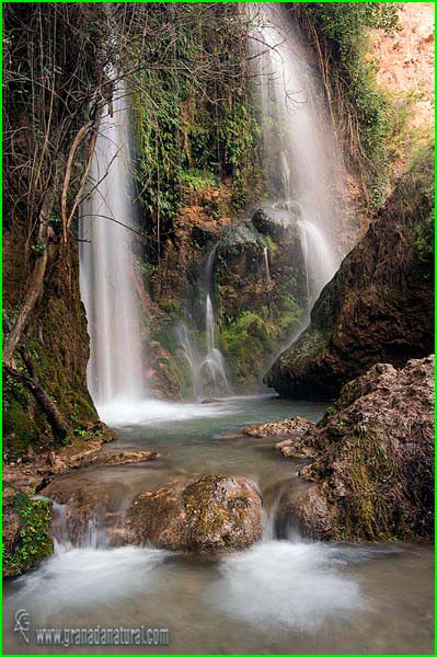 Parque Natural de las Sierras de Tejeda en Malaga