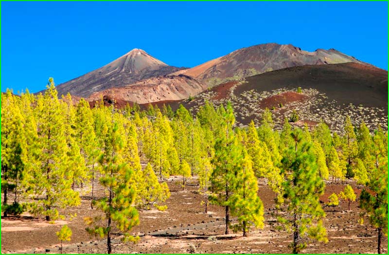 ruta por Parque Natural Corona Forestal