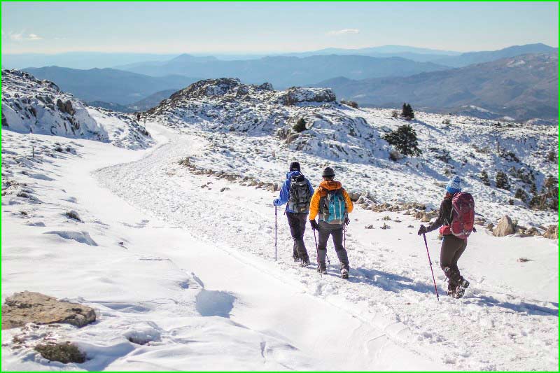 ruta Área Recreativa Los Sauces - Puerto Hornillos - Las Arenitas en Malaga