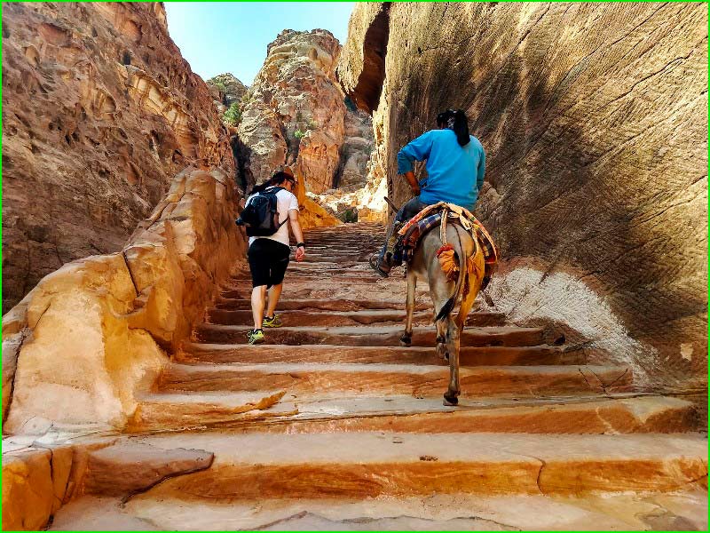 ruta Área Rural de Petra en Mallorca