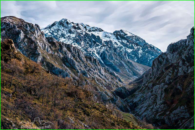 Cabrales en Asturias