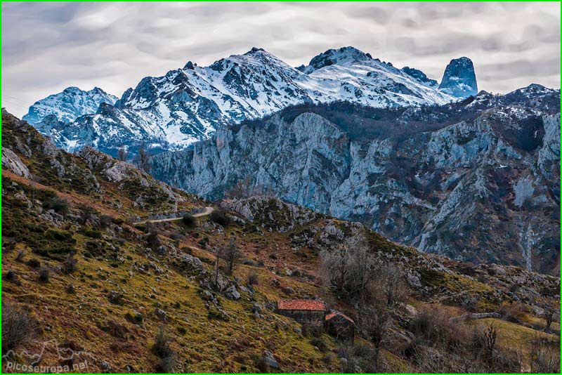 Cabrales en Asturias