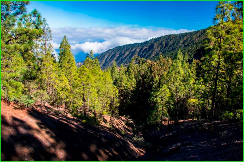 ruta Arenas Negras - Canal de Vergara - Montaña Negra en Tenerife