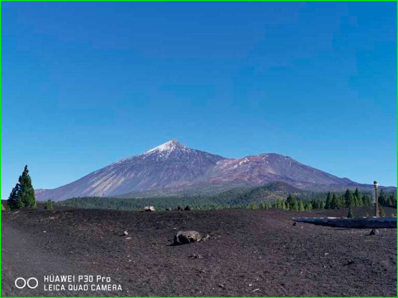 Parque Natural Corona Forestal en Tenerife