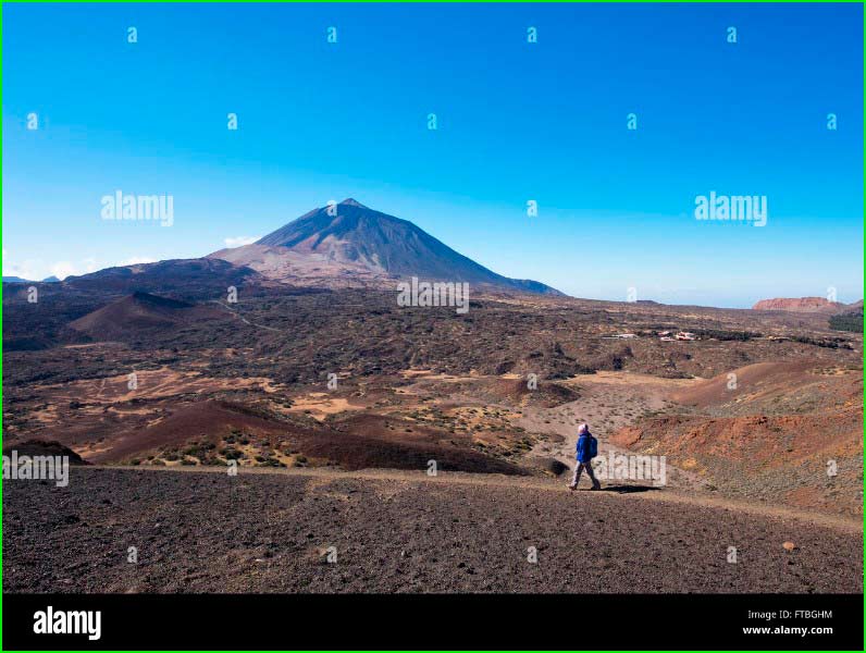 Parque Natural Corona Forestal en Tenerife