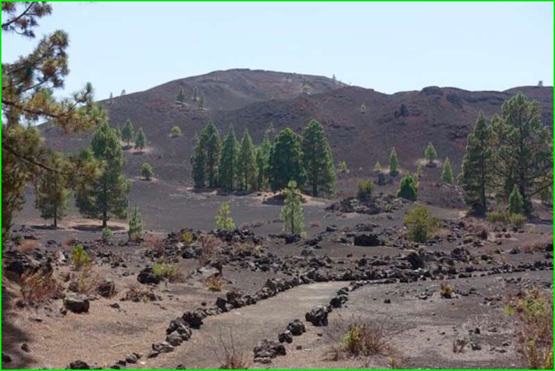 ruta Arenas Negras - Montaña Negra en Tenerife