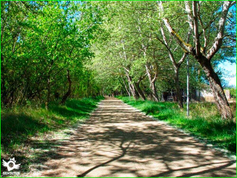 ruta Arnedo - Arnedillo vía Verde Cidacos en La Rioja