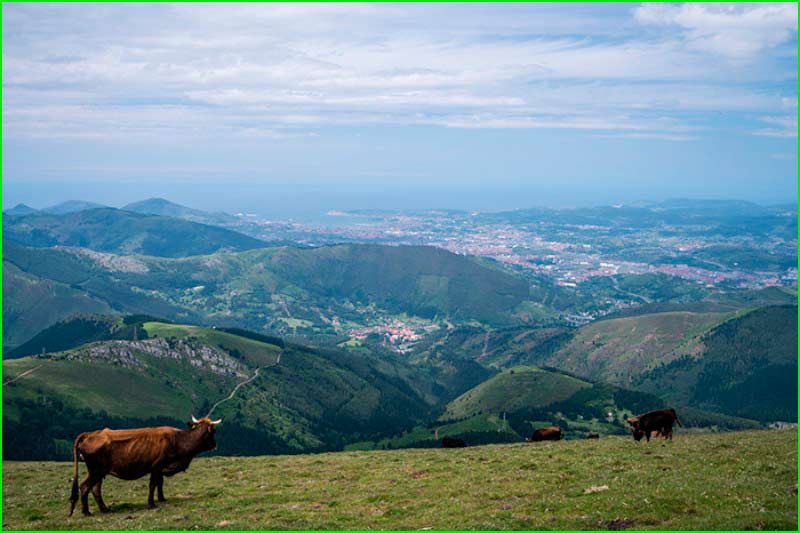 ruta Arraiz Norte - Pistas Pagasarri en Vizcaya