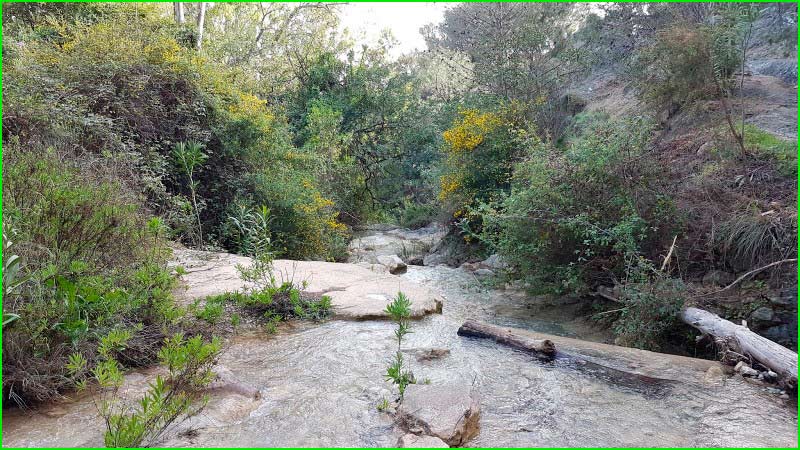 track Arroyo de Guadalpín - Cascada de Camoján en Malaga