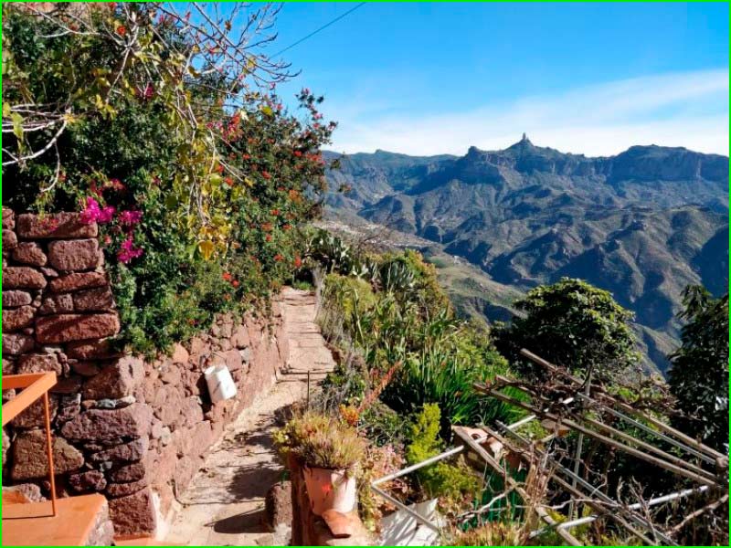 Artenara en Las Palmas