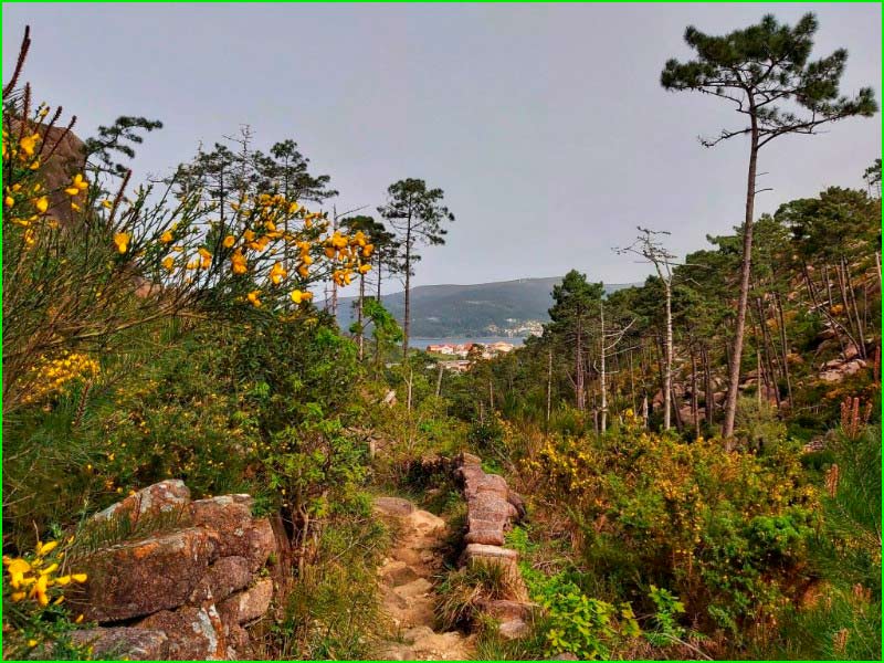 ruta Ascent to Mount Pindo en La Coruña