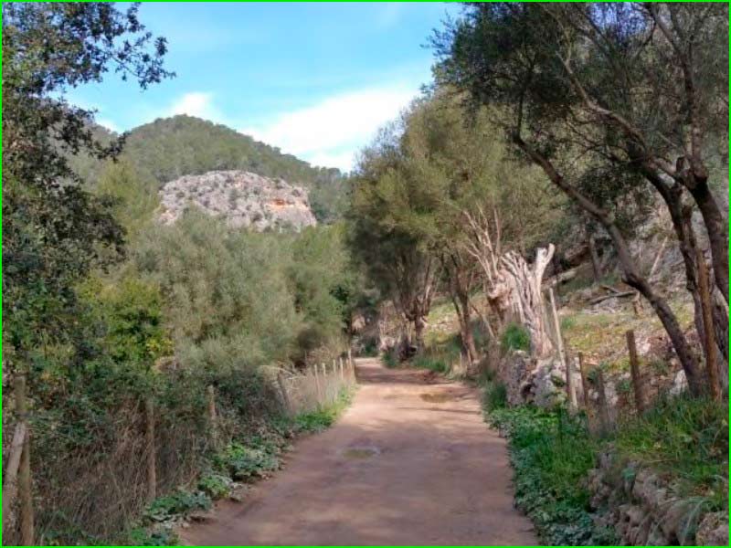 ruta Avenc des Coll de son Camps en Mallorca