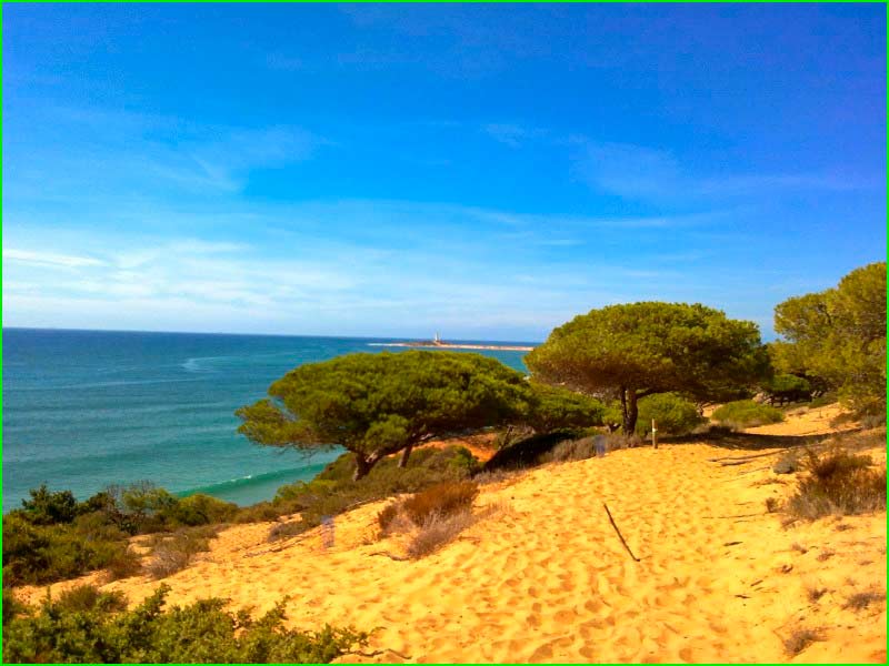 ruta Barbate - Rio Barbate  - Puerto de Barbate en Cádiz