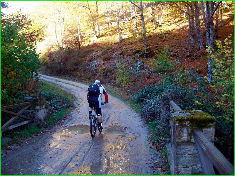 ruta Bárcena Mayor - Alto de la Cruz de Fuentes - Alto Abedules en Cantabria