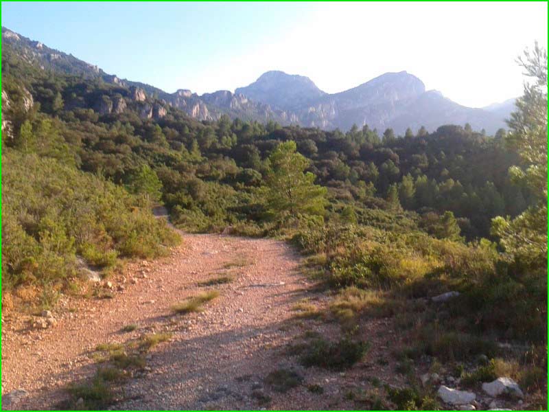 ruta Bárig - Alt de la Figuerota - Tossal de la Caldereta - El Mondúver en Valencia