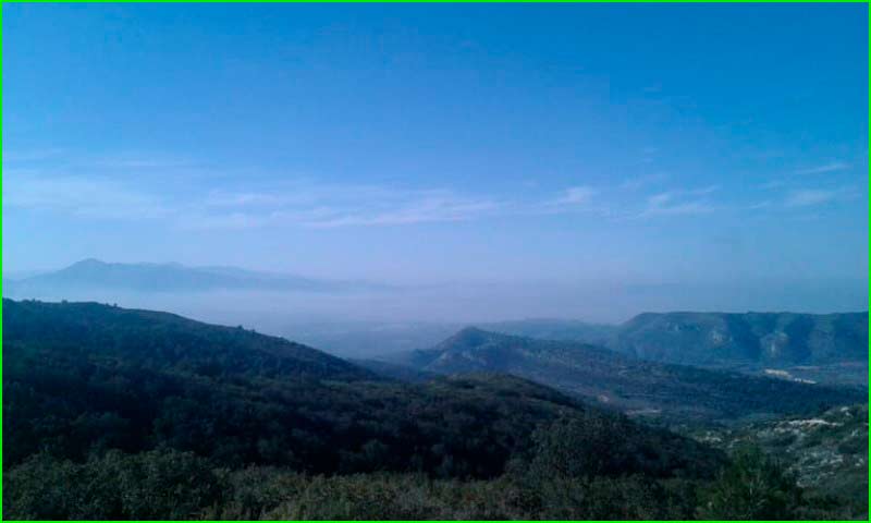 Paraje Natural Municipal El Surar en Valencia