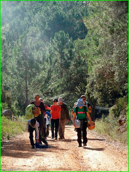ruta por Paraje Natural Municipal El Surar