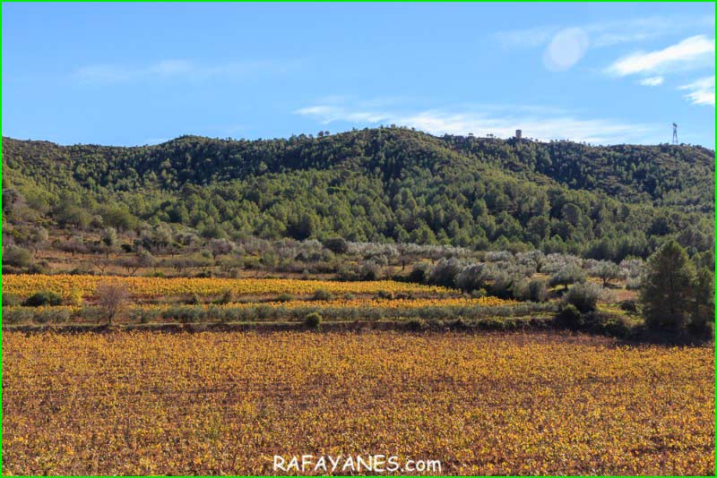 Montferri en Tarragona