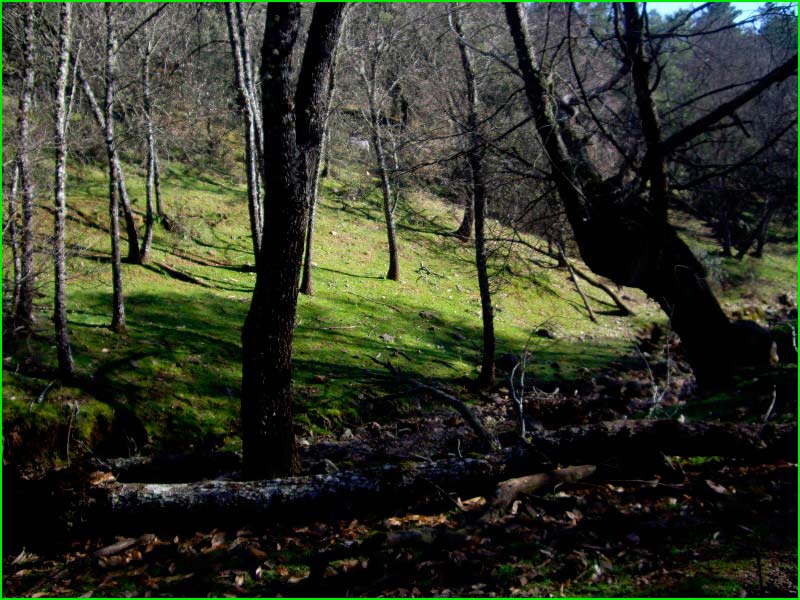 ruta por Parque Natural de Despeñaperros