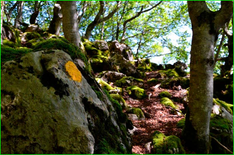Parque Natural de Aizkorri-Aratz en Guipúzcoa