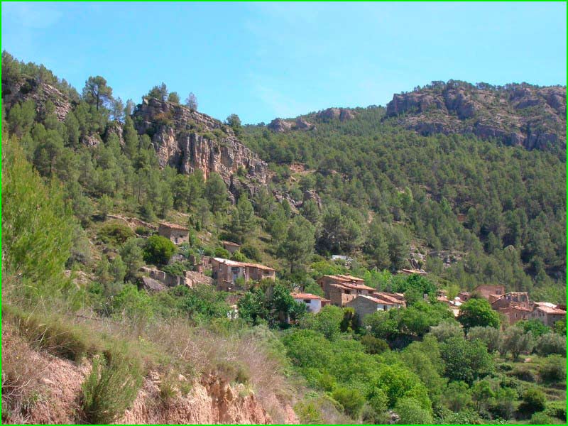 Arañuel en Castellón