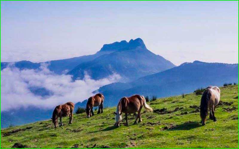 Parque Natural Aiako Harria en Guipúzcoa