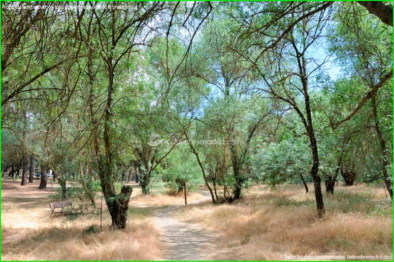 Parque Regional del Curso Medio del Río Guadarrama en Madrid