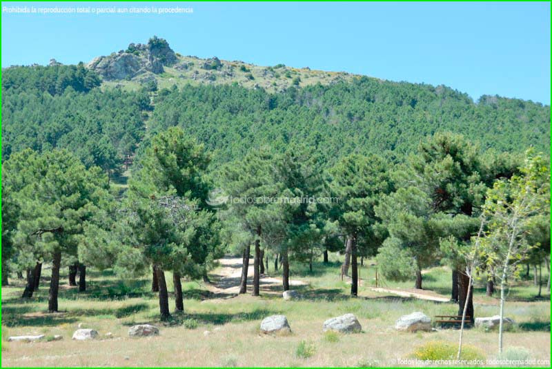 Parque Natural Sierras de Cazorla en Jaén
