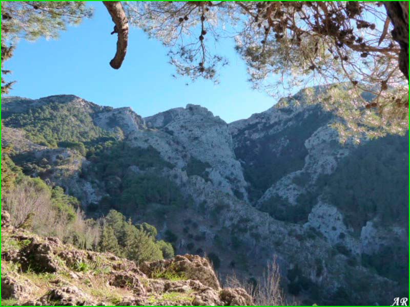 Parque Natural de las Sierras de Tejeda en Malaga