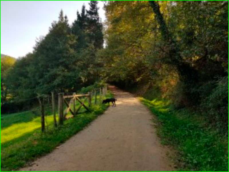 Axpe Achondo en Vizcaya