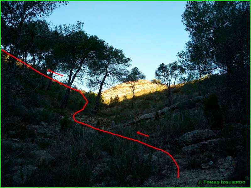 Arañuel en Castellón