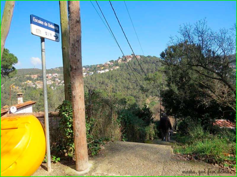 Parc de Collserola en Barcelona