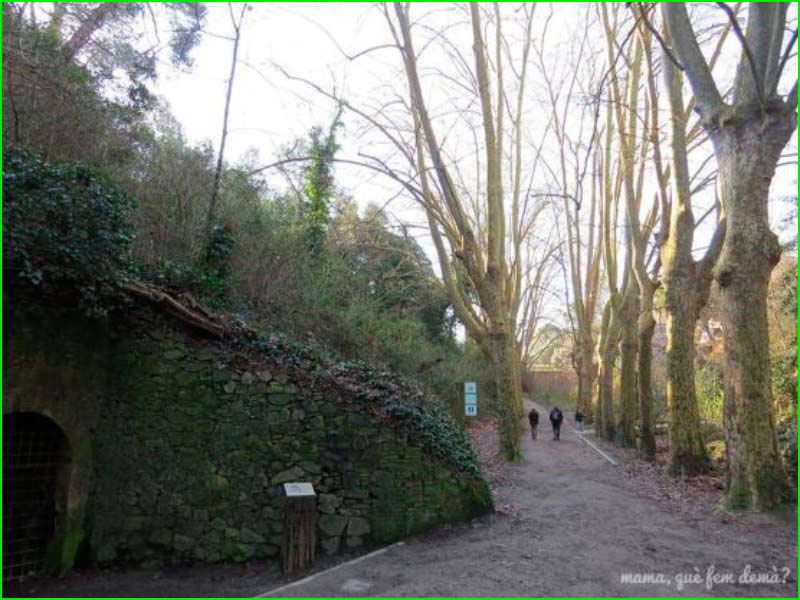 Parc de Collserola en Barcelona