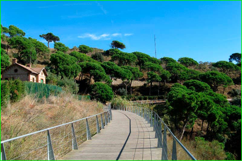 Parc de Collserola en Barcelona