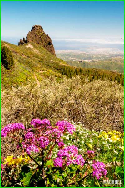 Las Palmas De Gran Canaria en Las Palmas