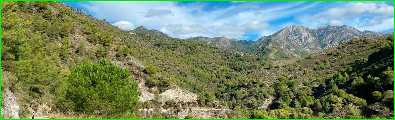 Parque Natural de las Sierras de Tejeda en Málaga
