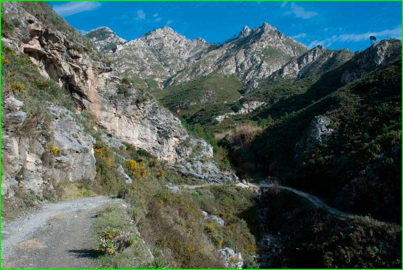 ruta Barranco del Mármol - Cerro Tres Cruces - Acebuchal en Málaga