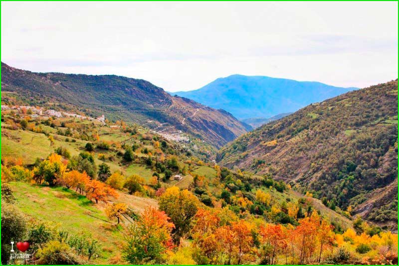 Parque Nacional Sierra Nevada en Granada