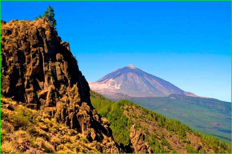 Parque Natural Corona Forestal en Santa Cruz de Tenerife