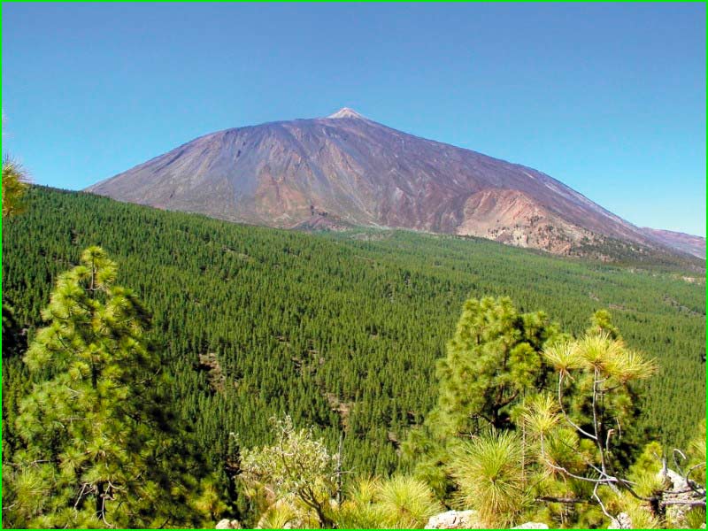 ruta Barranco del Río - Galería Risco del Ala en Santa Cruz de Tenerife