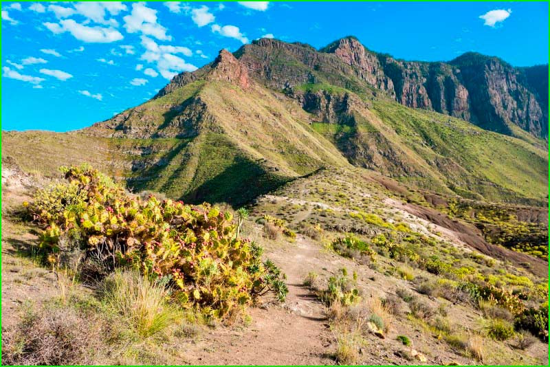 ruta Barranco del Risco en Las Palmas