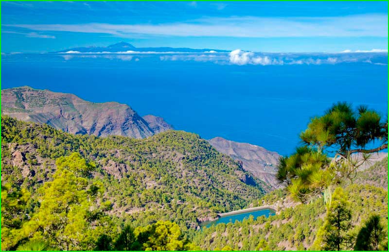 track Barranco del Risco en Las Palmas