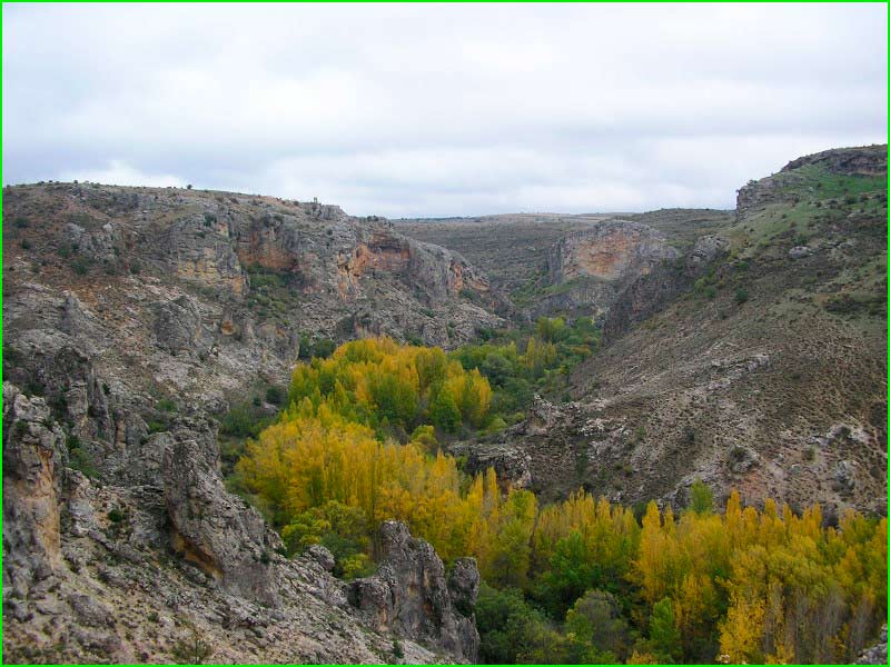 ruta por Parque Natural Corona Forestal