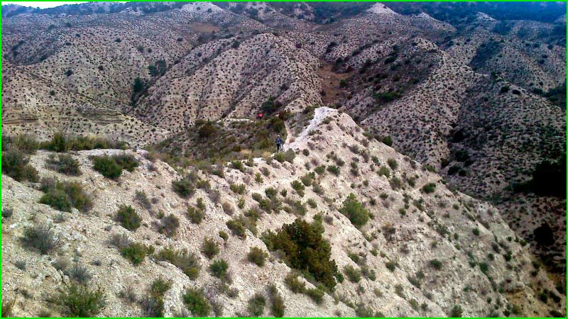 track Barranco La Balsa en Zaragoza