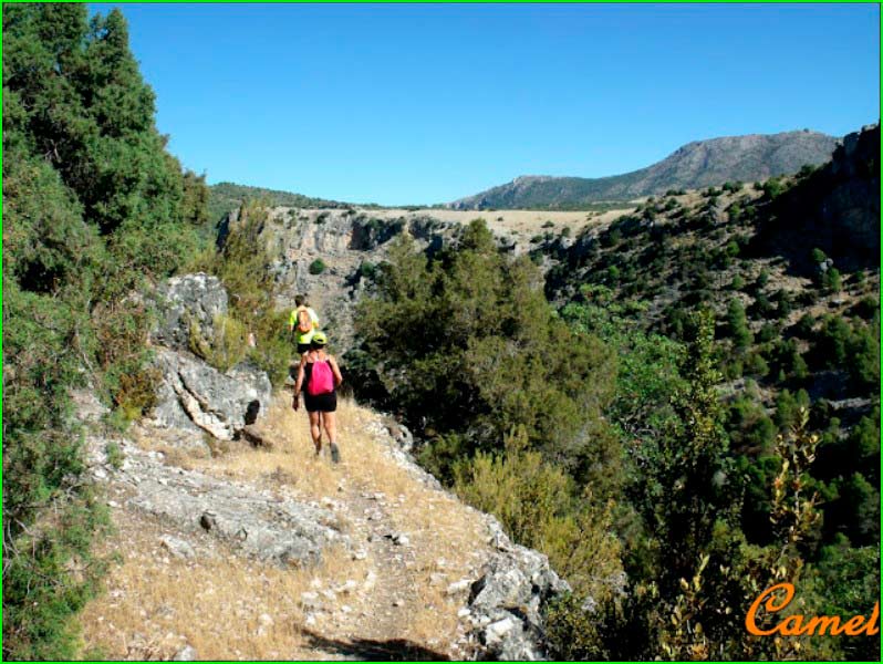track Barranco San Pablo - Cerro Tañada de Bastida - Cañada del Malojo en Albacete
